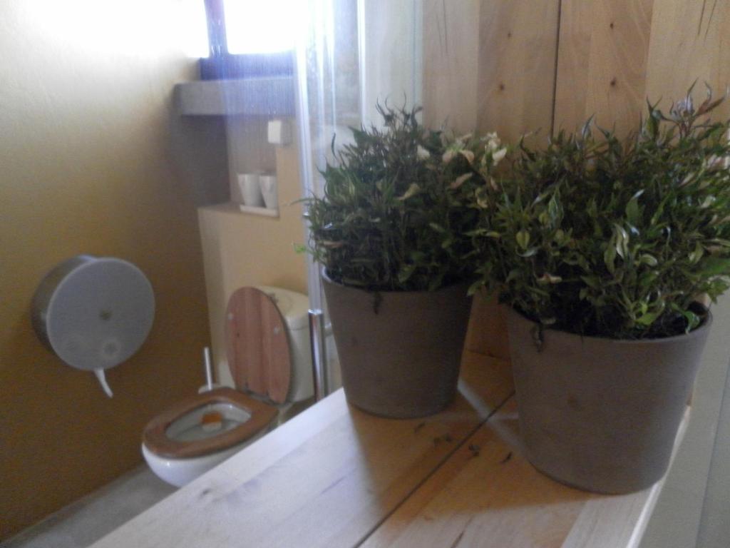Lemon Tree Hostel Areia Branca Room photo
