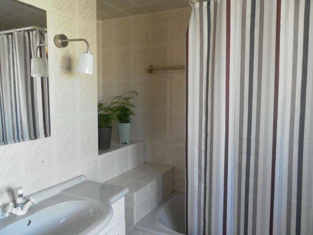 Lemon Tree Hostel Areia Branca Room photo