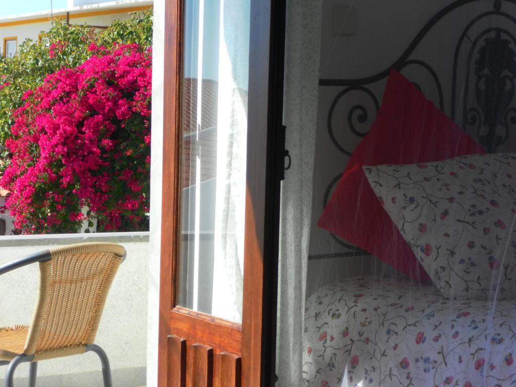Lemon Tree Hostel Areia Branca Room photo
