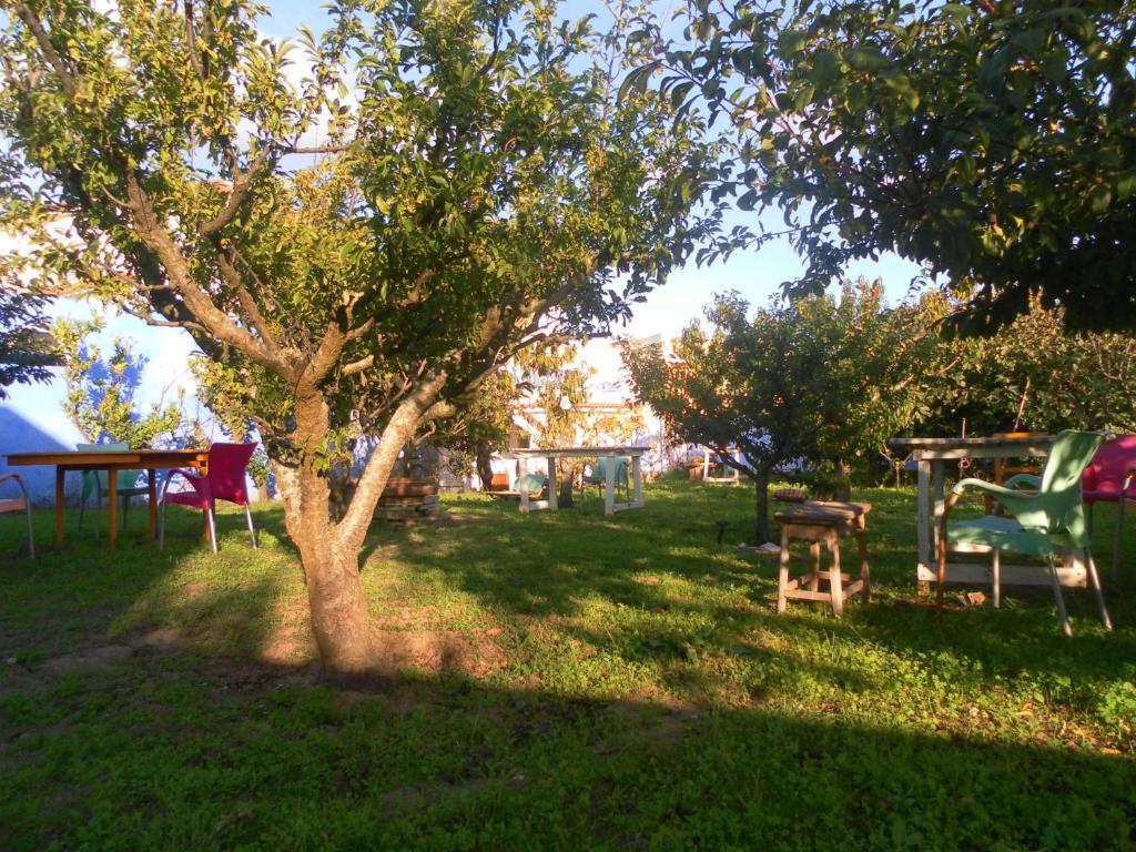 Lemon Tree Hostel Areia Branca Room photo