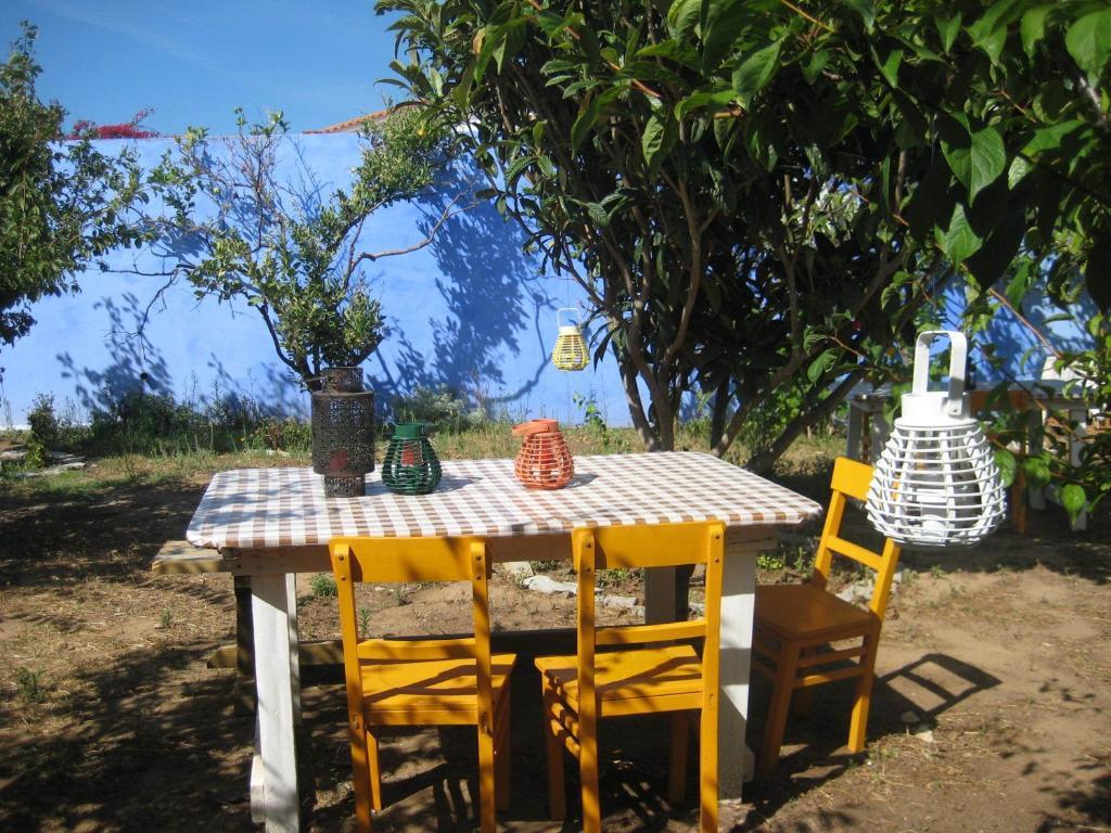 Lemon Tree Hostel Areia Branca Room photo