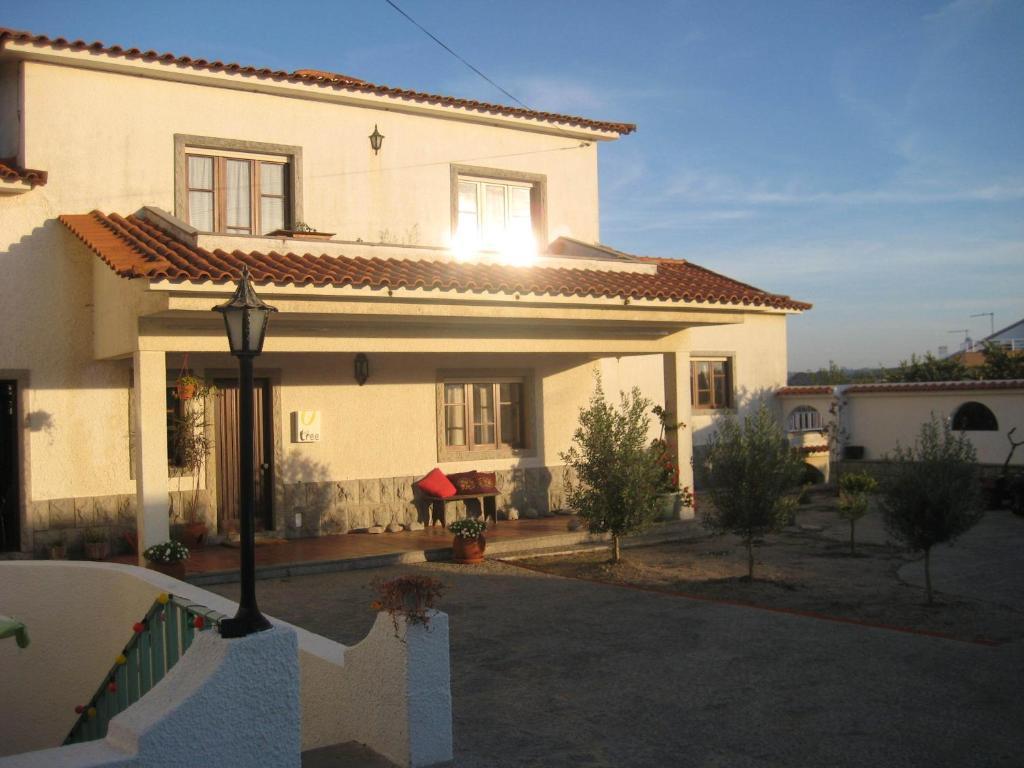 Lemon Tree Hostel Areia Branca Room photo